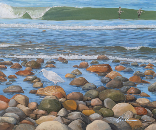 Trestles Egret,  Trestles, California